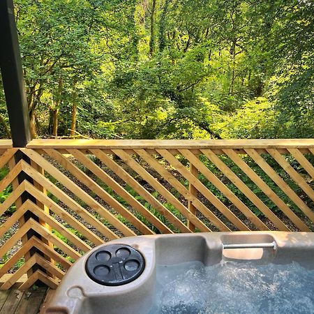 Goldcrest 3-Hot Tub-Woodland Lodges-Carmarthenshire-Tenby מראה חיצוני תמונה