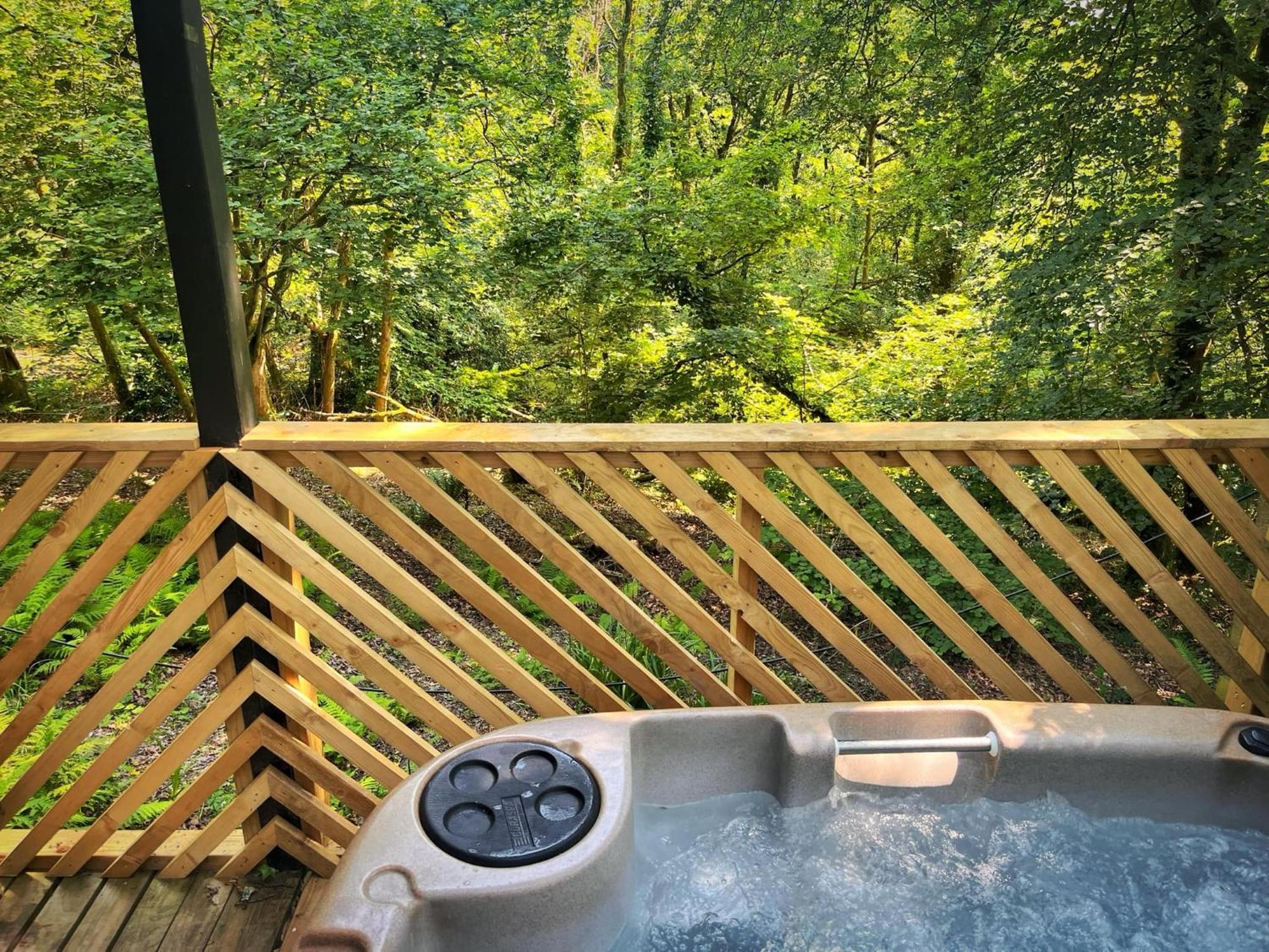 Goldcrest 3-Hot Tub-Woodland Lodges-Carmarthenshire-Tenby מראה חיצוני תמונה