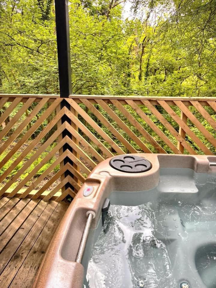 Goldcrest 3-Hot Tub-Woodland Lodges-Carmarthenshire-Tenby מראה חיצוני תמונה
